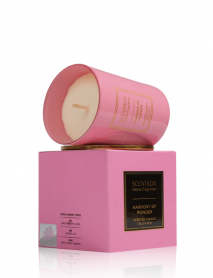Harmony Of Powder