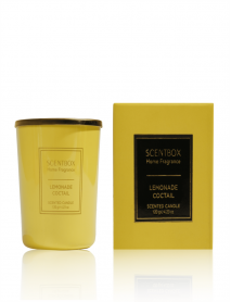 Lemonade Coctail