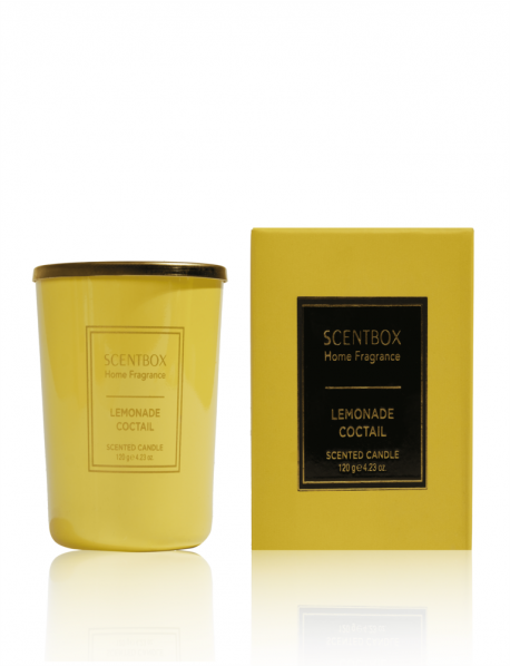 Lemonade Coctail