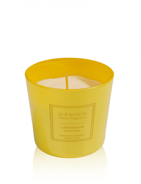 Lemonade Coctail