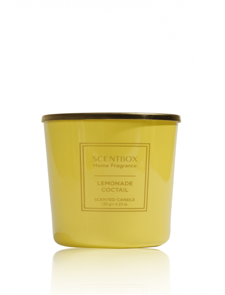 Lemonade Coctail