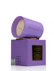 Purple Wonderland