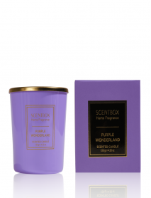 Purple Wonderland
