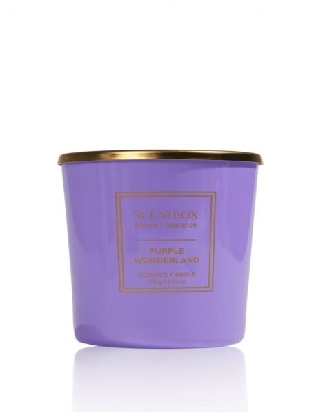 Purple Wonderland