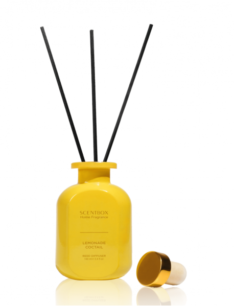 Lemonade Coctail