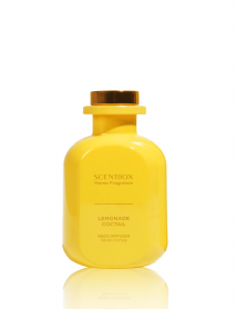 Lemonade Coctail